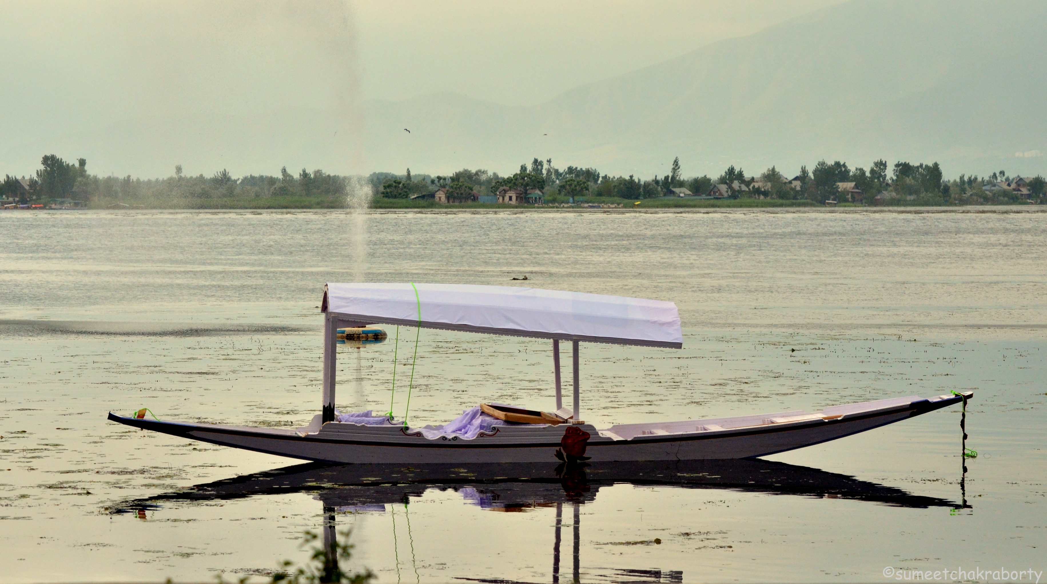 A glimpse of life at Dal Lake … A pictorial journey